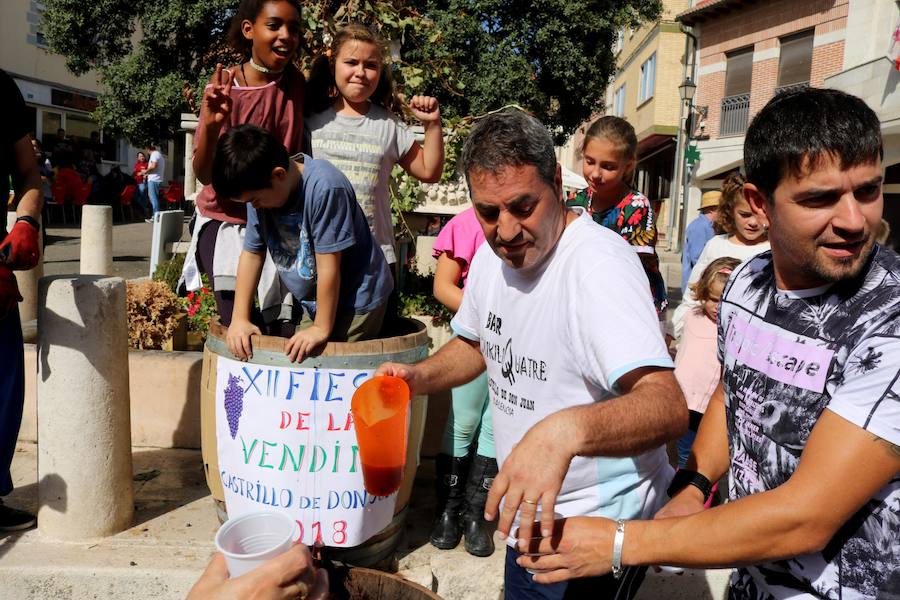 Fotos: Fiesta de la venidimia en Castrillo de Don Juan