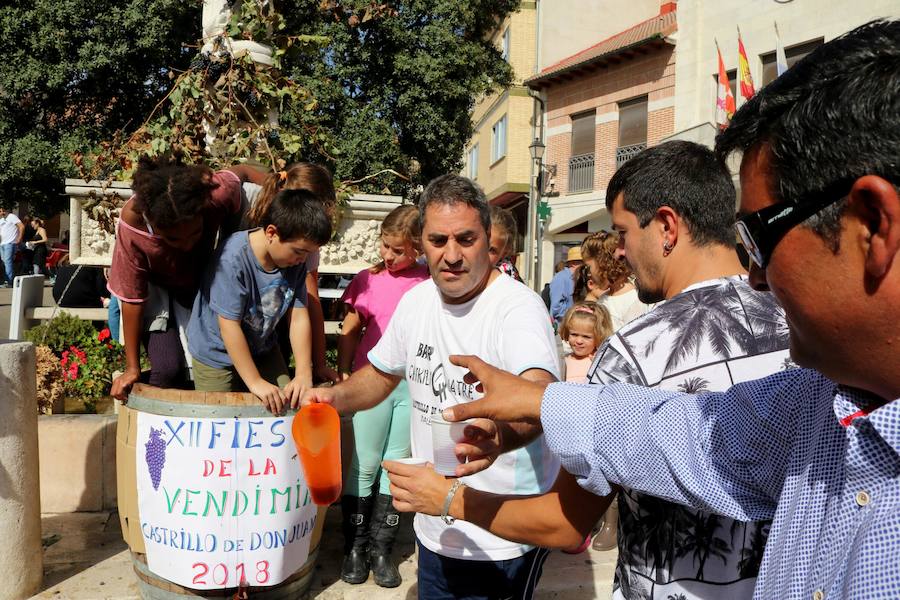 Fotos: Fiesta de la venidimia en Castrillo de Don Juan