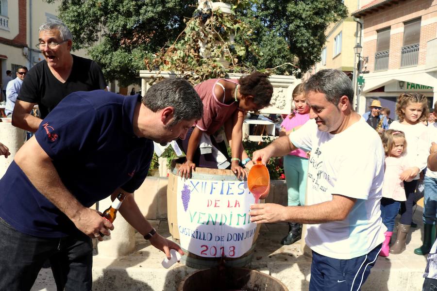 Fotos: Fiesta de la venidimia en Castrillo de Don Juan