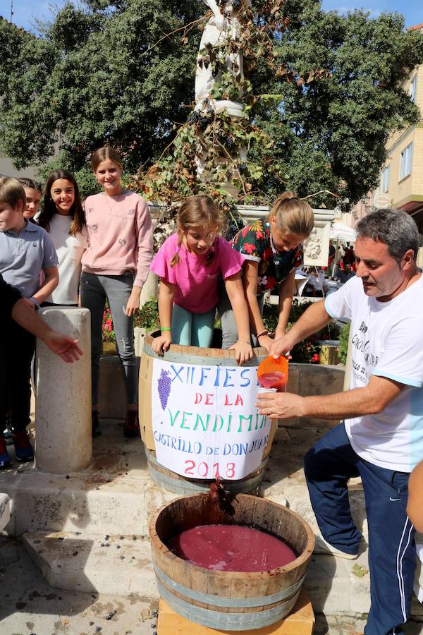 Fotos: Fiesta de la venidimia en Castrillo de Don Juan