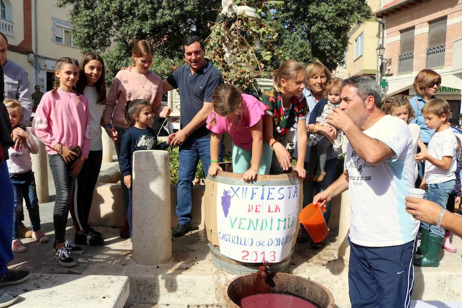 Fotos: Fiesta de la venidimia en Castrillo de Don Juan