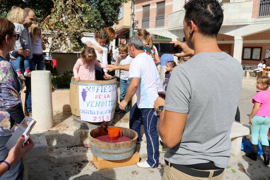 Fotos: Fiesta de la venidimia en Castrillo de Don Juan