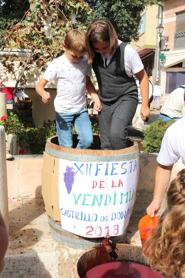 Fotos: Fiesta de la venidimia en Castrillo de Don Juan