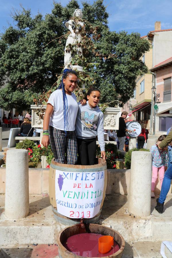Fotos: Fiesta de la venidimia en Castrillo de Don Juan
