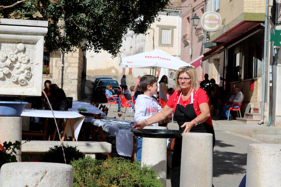 Fotos: Fiesta de la venidimia en Castrillo de Don Juan