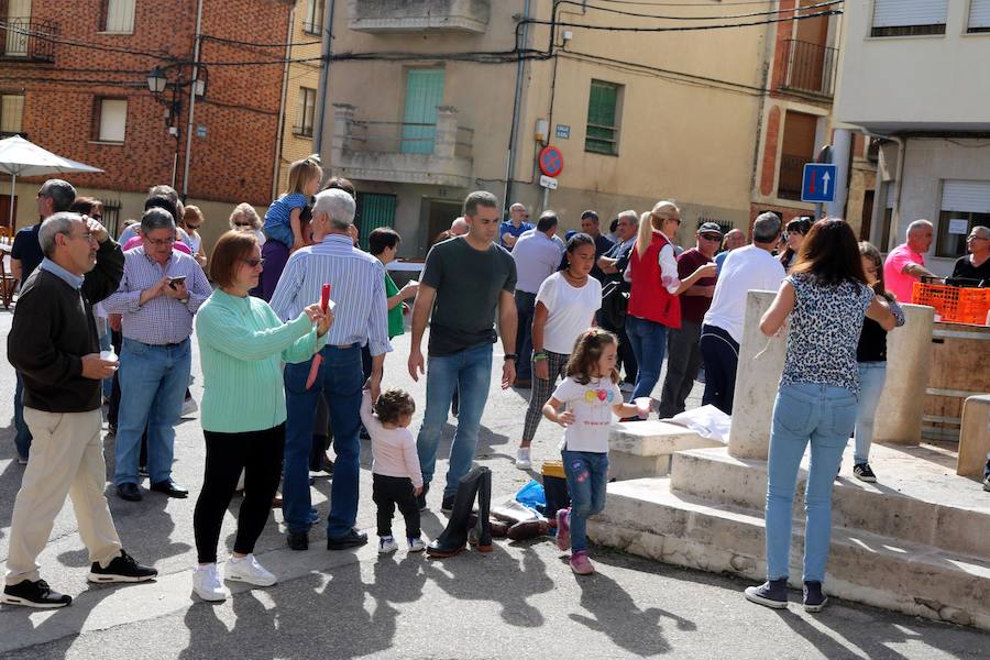 Fotos: Fiesta de la venidimia en Castrillo de Don Juan