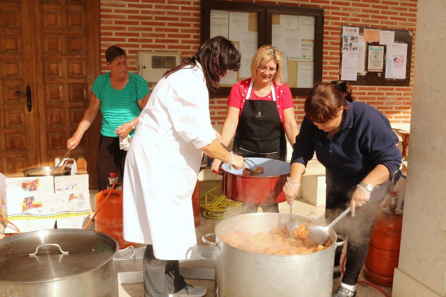 Fotos: Fiesta de la venidimia en Castrillo de Don Juan