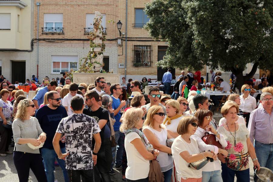 Fotos: Fiesta de la venidimia en Castrillo de Don Juan
