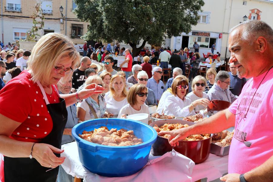 Fotos: Fiesta de la venidimia en Castrillo de Don Juan