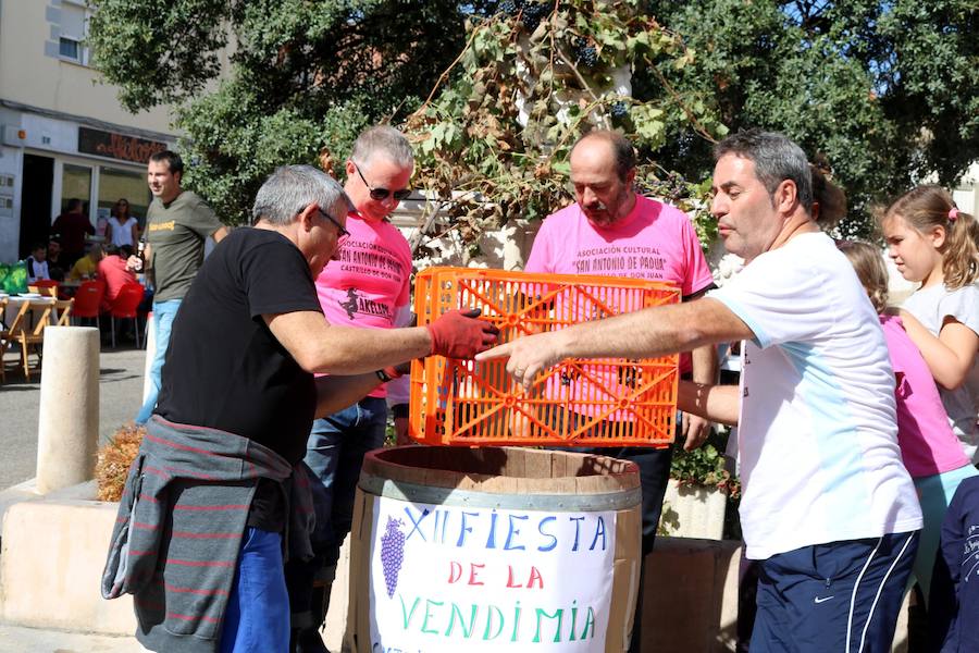 Fotos: Fiesta de la venidimia en Castrillo de Don Juan