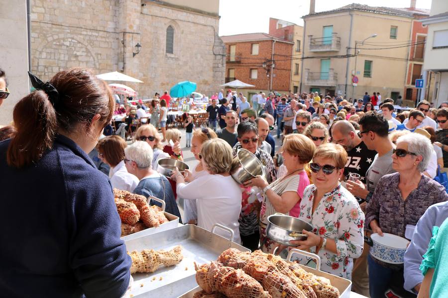 Fotos: Fiesta de la venidimia en Castrillo de Don Juan
