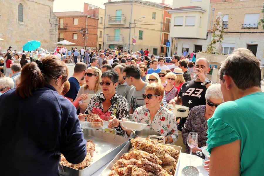 Fotos: Fiesta de la venidimia en Castrillo de Don Juan