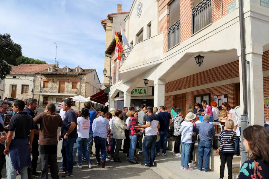 Fotos: Fiesta de la venidimia en Castrillo de Don Juan