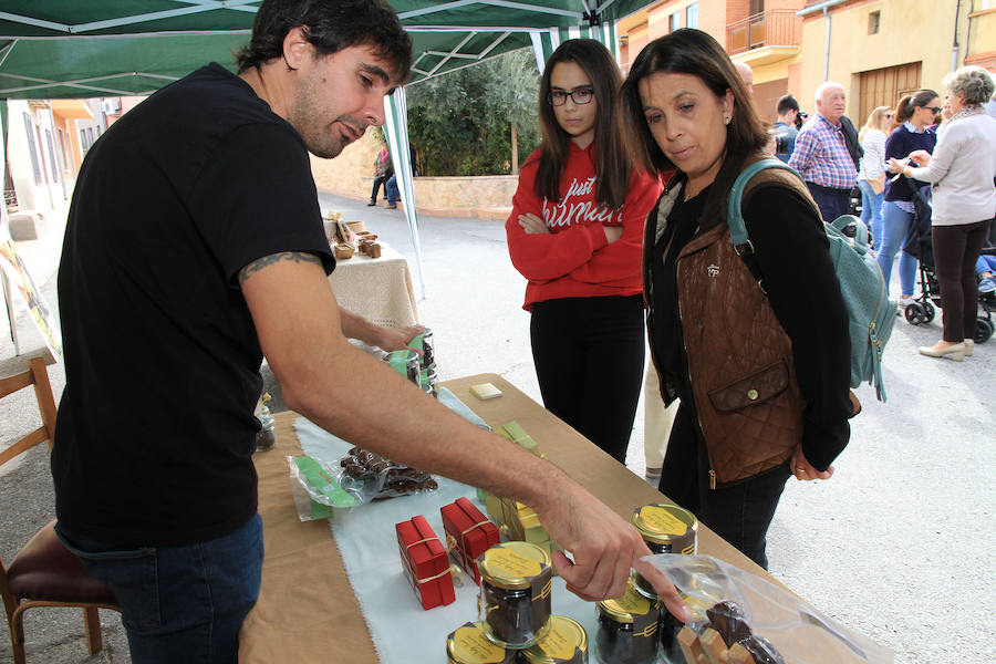 Fotos: Feria del Garbanzo de Valseca