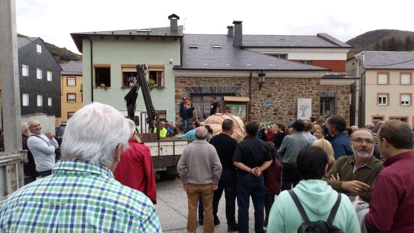 La calabaza de 600 kilos cultivada por el palentino Sergio García logra el primer puesto en el certamen de calabazas gigantes de Igüeña.