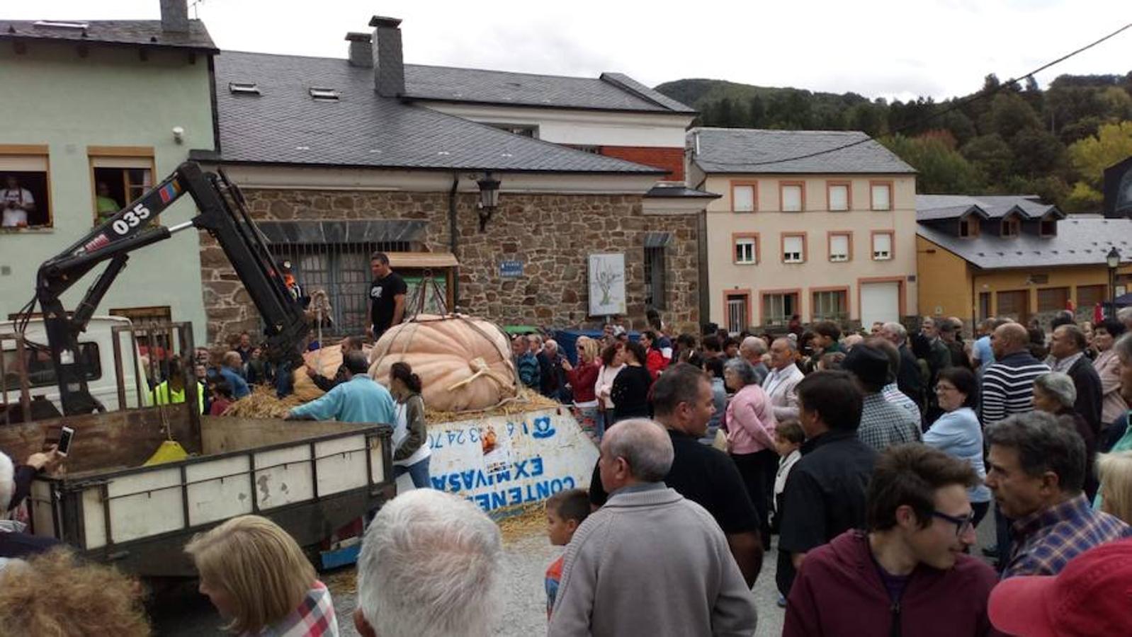 La calabaza de 600 kilos cultivada por el palentino Sergio García logra el primer puesto en el certamen de calabazas gigantes de Igüeña.