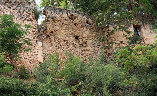 Vegetación, huecos dejados por desprendimientos y grietas en el muro de la muralla norte. 
