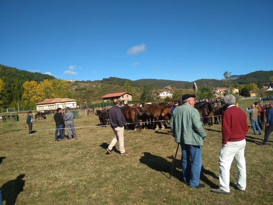 Fotos: Feria de caballos en La Pernía