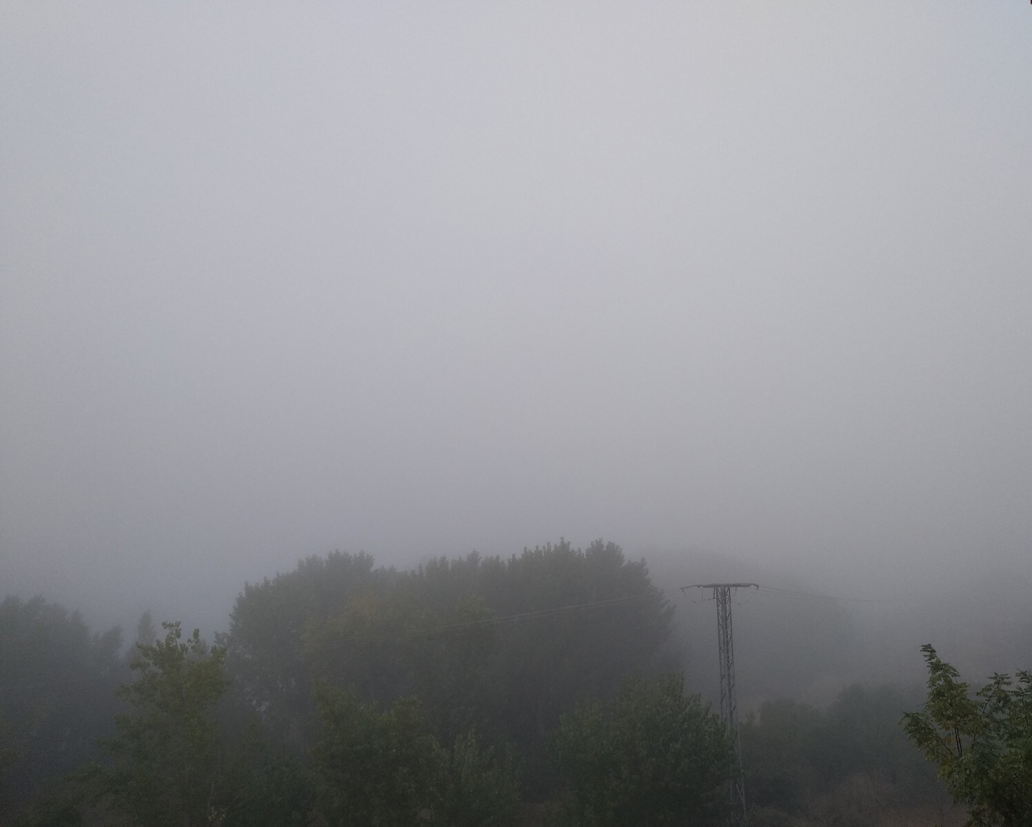 Niebla en Tordesillas (Valladolid).