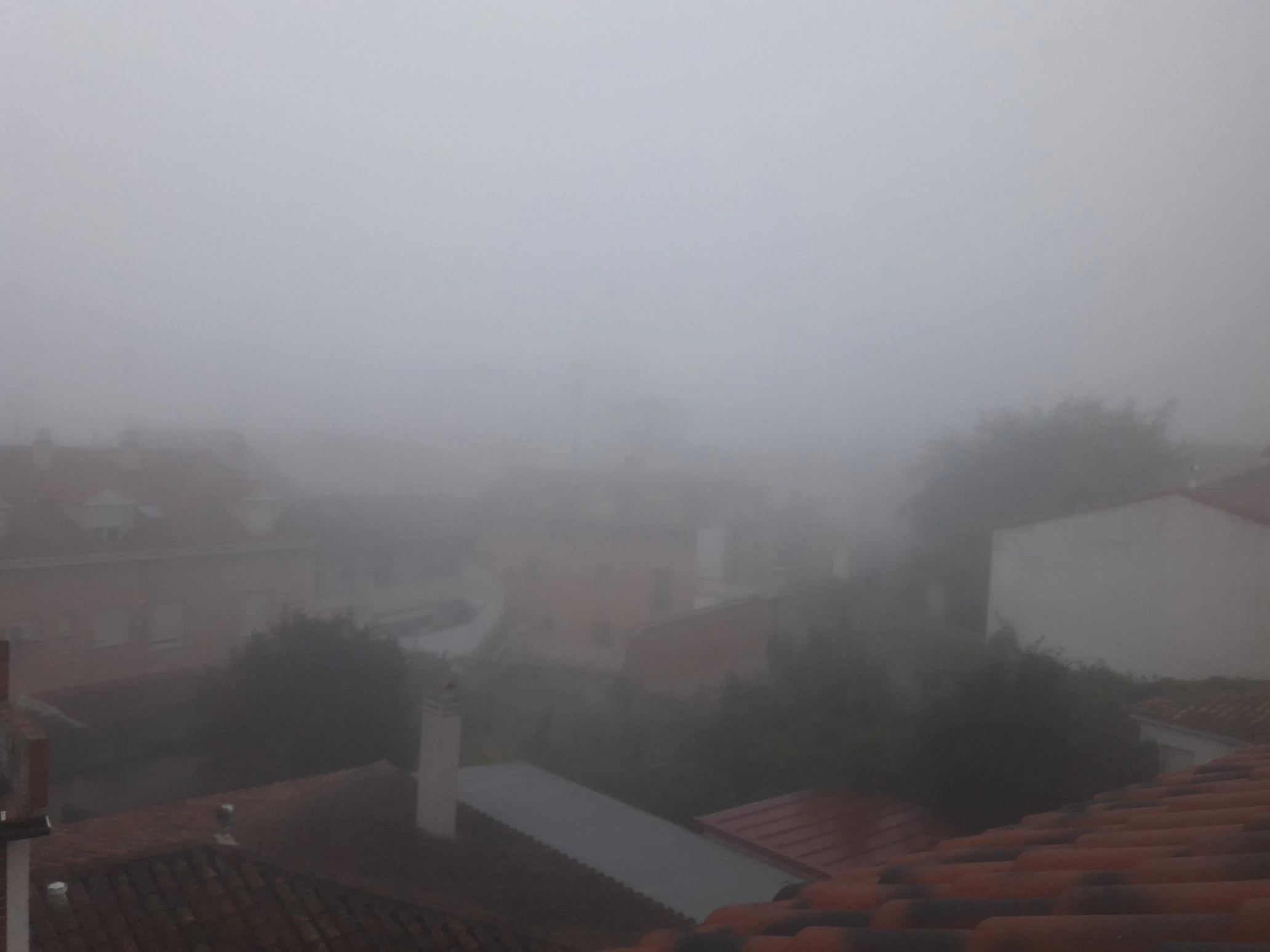 Niebla en Tordesillas (Valladolid).