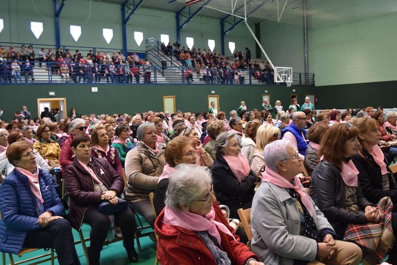 Fotos: Encuentro regional de cáncer de mama en Aguilar de Campoo