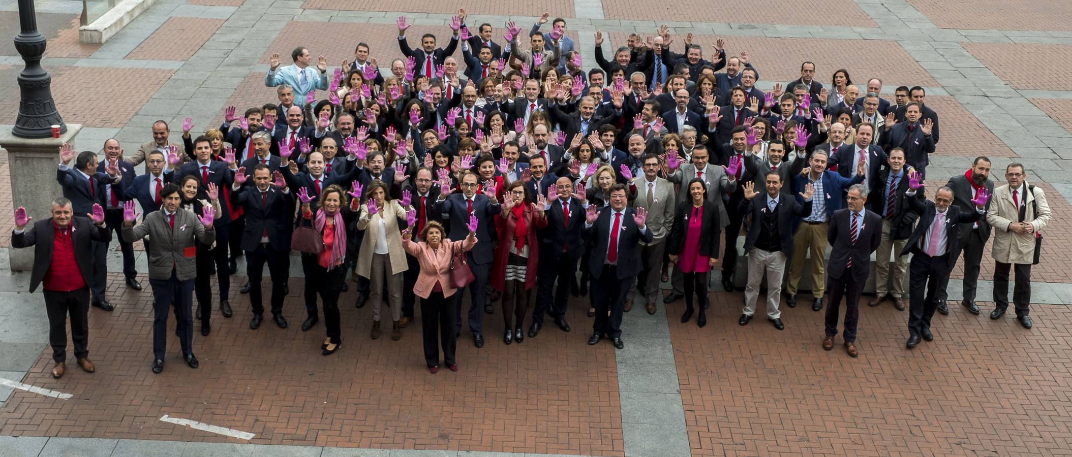 Fotos: Día Mundial Contra el Cáncer de Mama en Valladolid