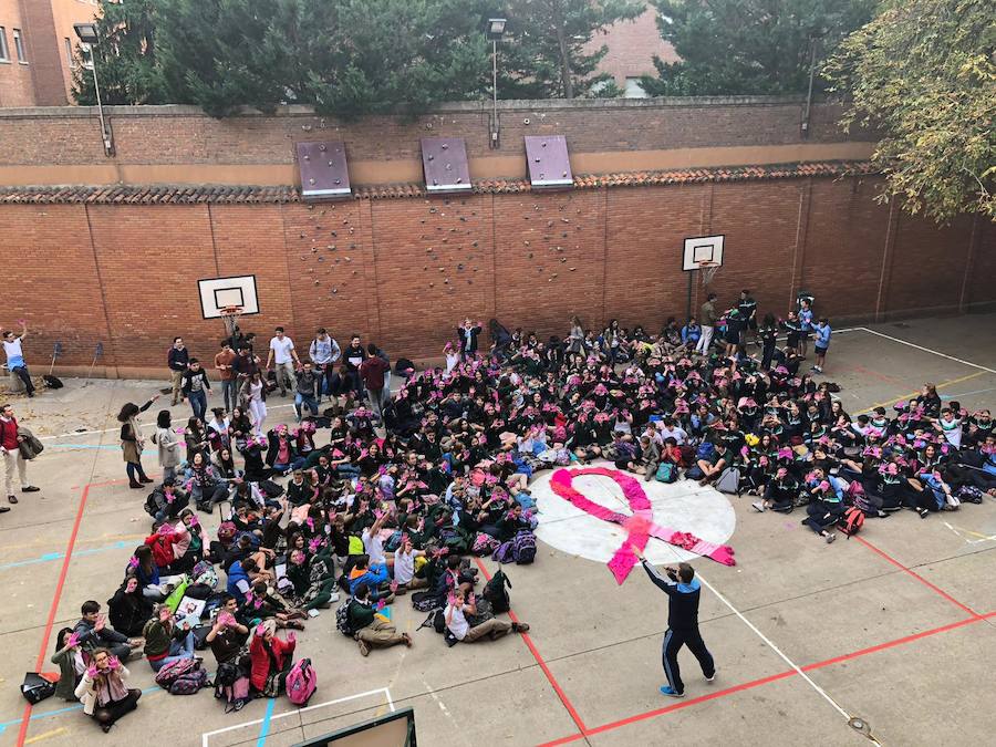 Fotos: El colegio Santa Teresa de Jesús de Valladolid se une a la lucha contra el cáncer de mama