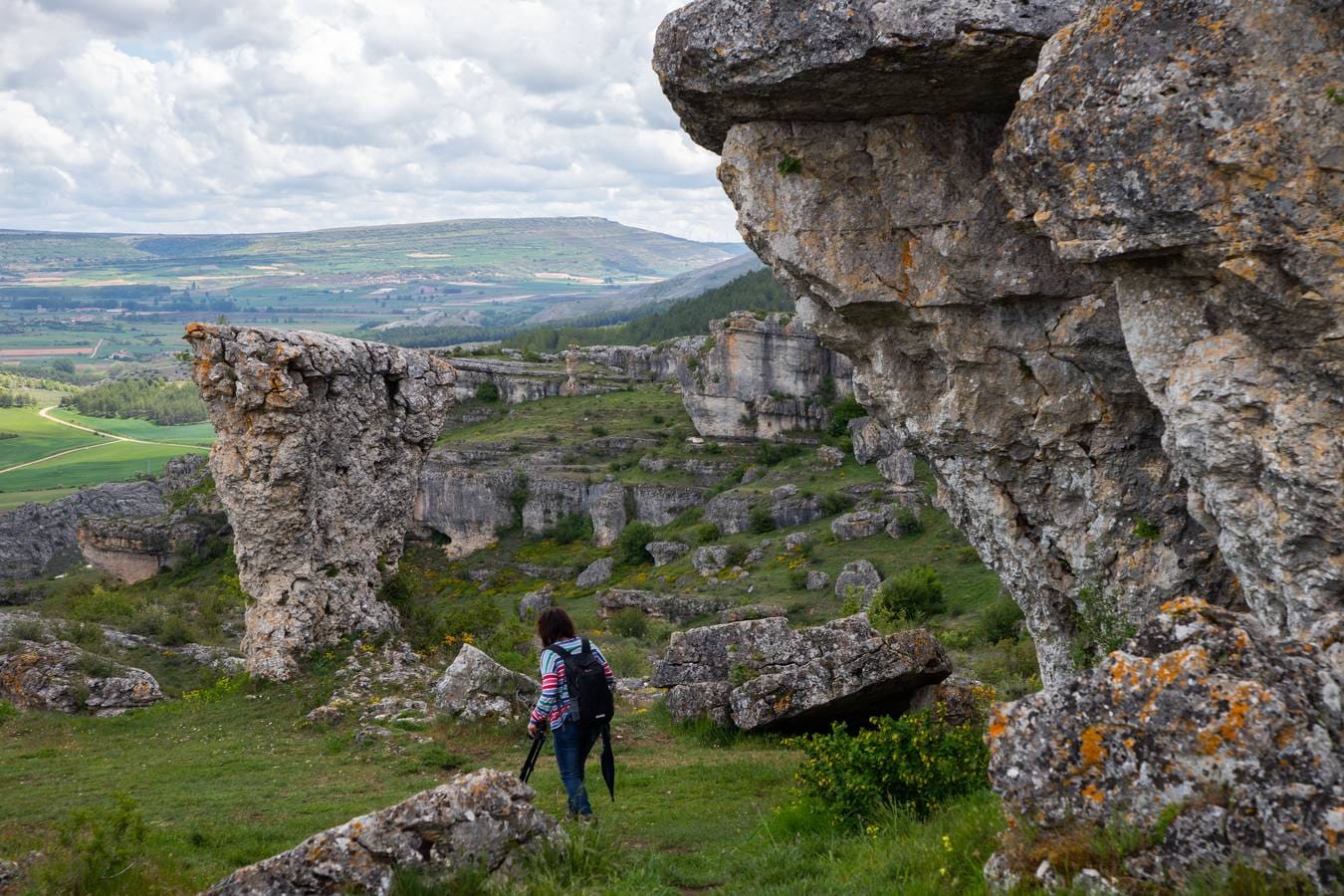 Monumento Natural de Las Tuerces. En la localidad palentina de Villaescusa de las Torres se levantan las gigantescas piedras en forma de setas, puentes y arcos naturales, cerrados callejones y umbrías covachuelas que dan lugar a un encantador paisaje que invita al tranquilo paseo y a la contemplación.