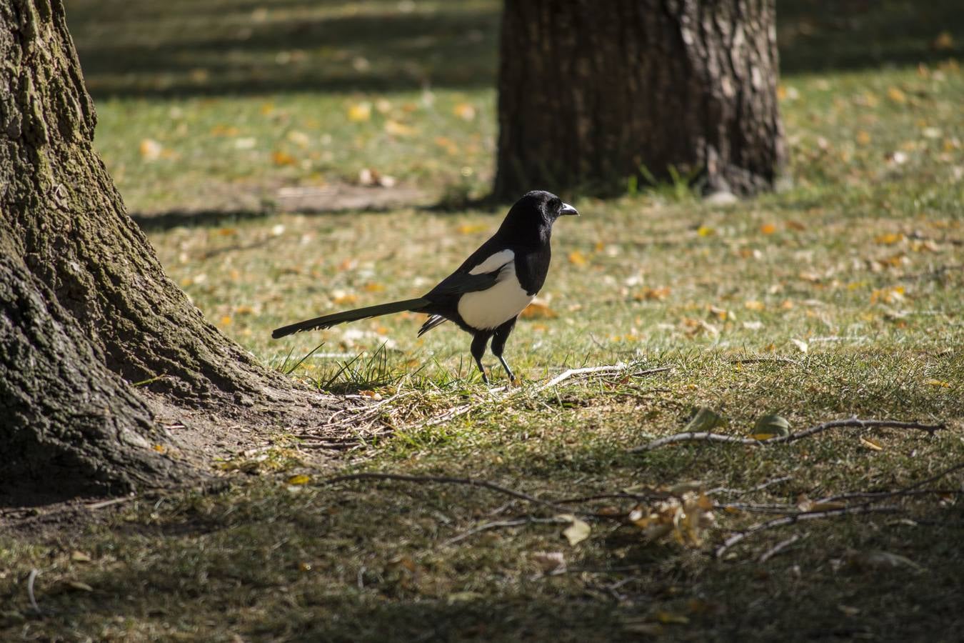 Fotos: Un paseo por el río