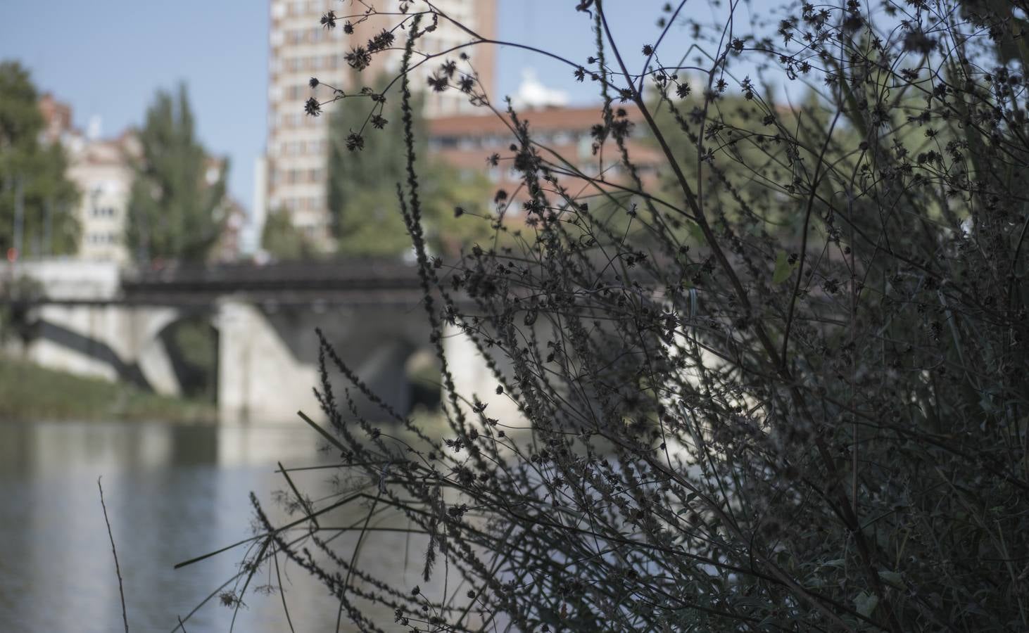 Fotos: Un paseo por el río