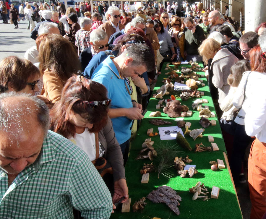 Fotos: Segovia celebra San Frutos (3)