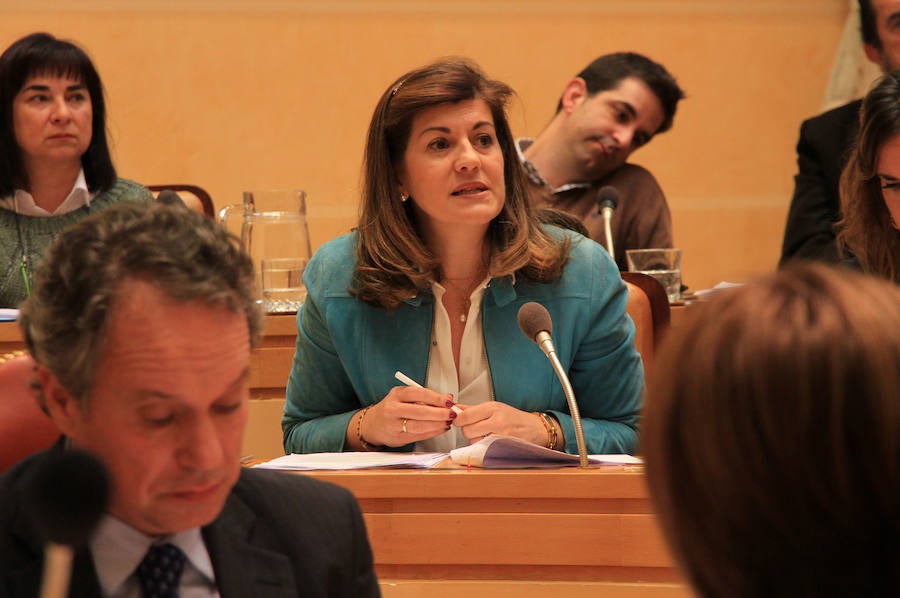 Fotos: Pleno del Ayuntamiento