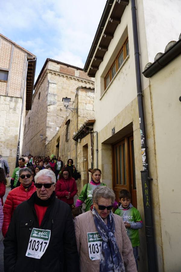 Fotos: V Marcha contra el cáncer en Salamanca