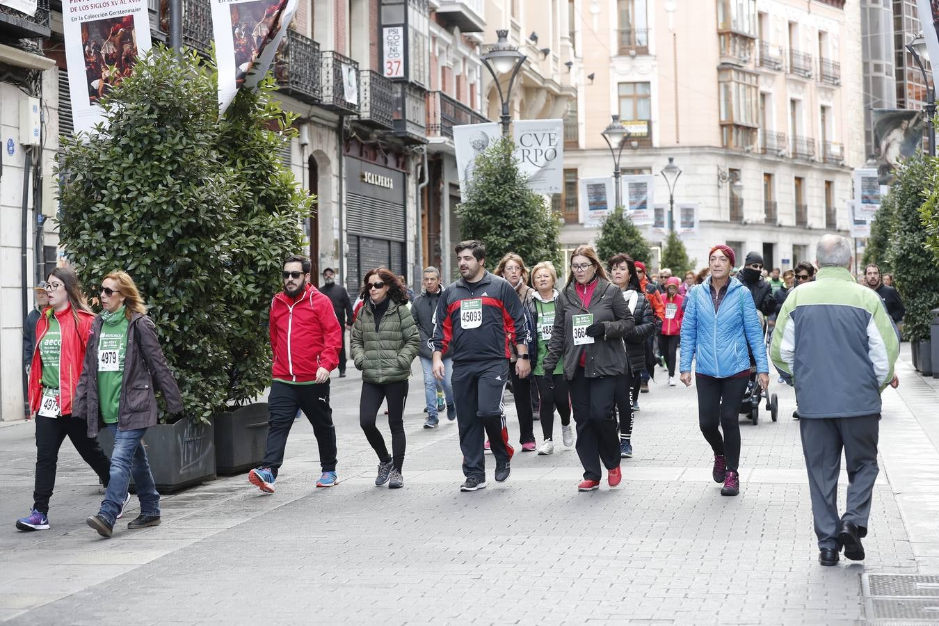 Fotos: VII Marcha contra el Cáncer en Valladolid (2)