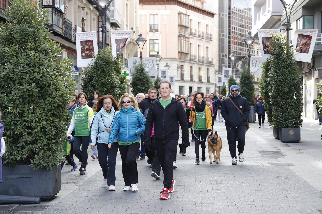 Fotos: VII Marcha contra el Cáncer en Valladolid (2)