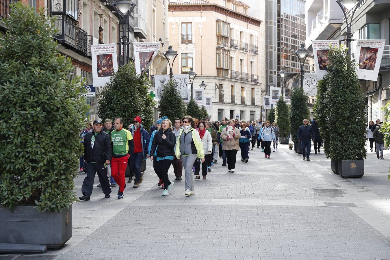 Fotos: VII Marcha contra el Cáncer en Valladolid (2)