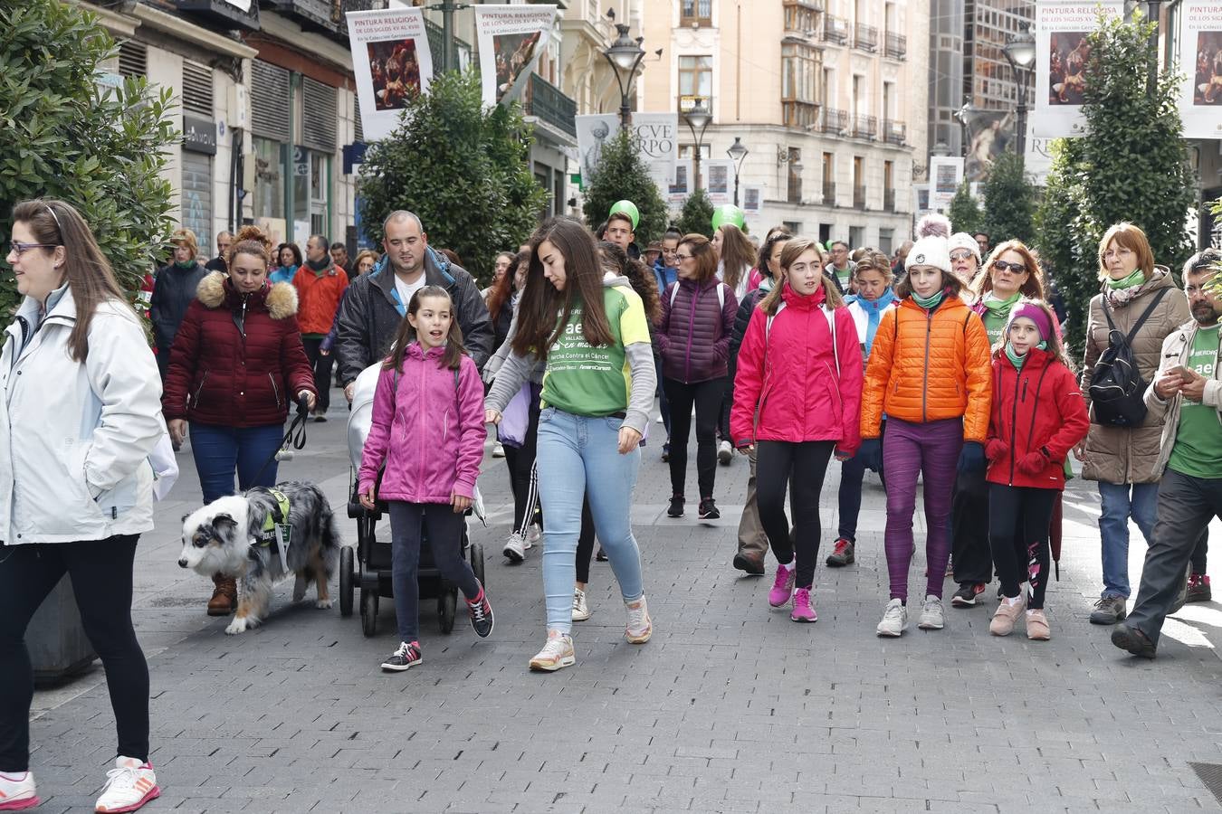 Fotos: VII Marcha contra el Cáncer en Valladolid (2)