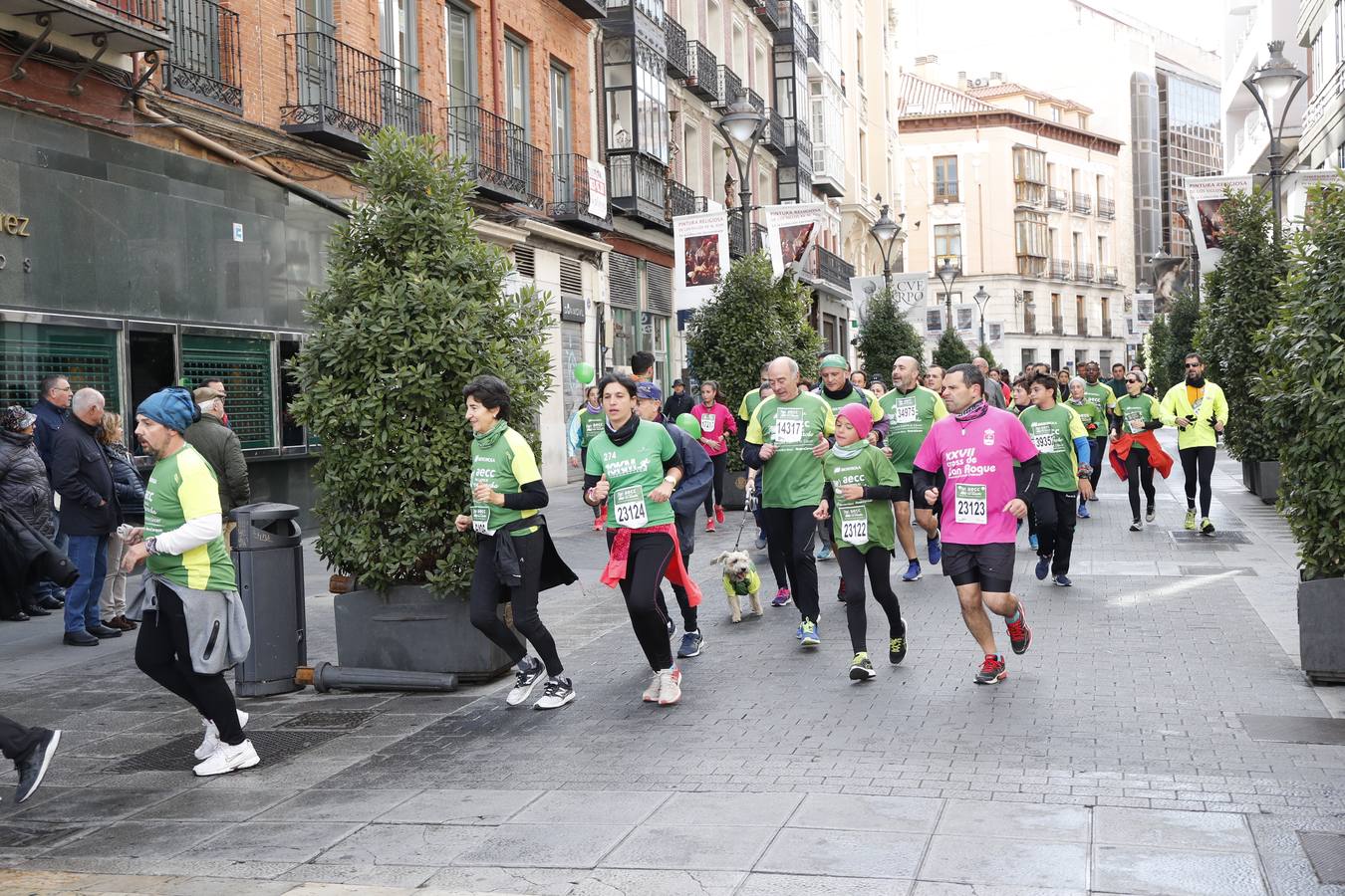 Fotos: Marcha contra el Cáncer en Valladolid (1)