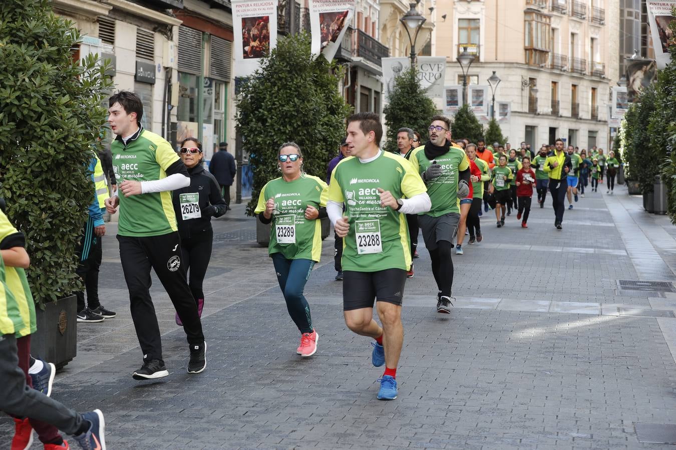 Fotos: Marcha contra el Cáncer en Valladolid (1)