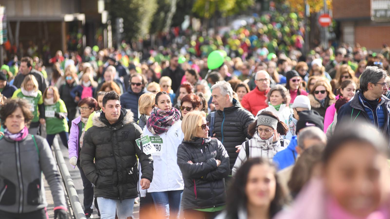 Fotos: VII Marcha contra el Cáncer en Valladolid (3)