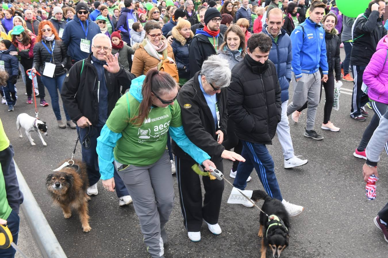 Fotos: VII Marcha contra el Cáncer en Valladolid (5)