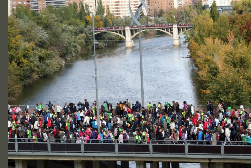 Fotos: VII Marcha contra el cáncer (7)