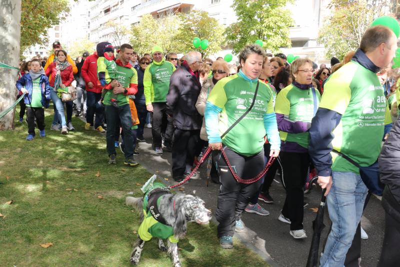 Fotos: VII Marcha contra el cáncer (7)