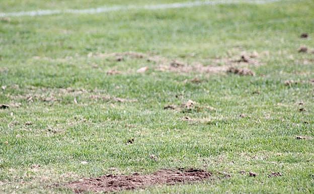 Aspecto del campo de Las Pistas. 