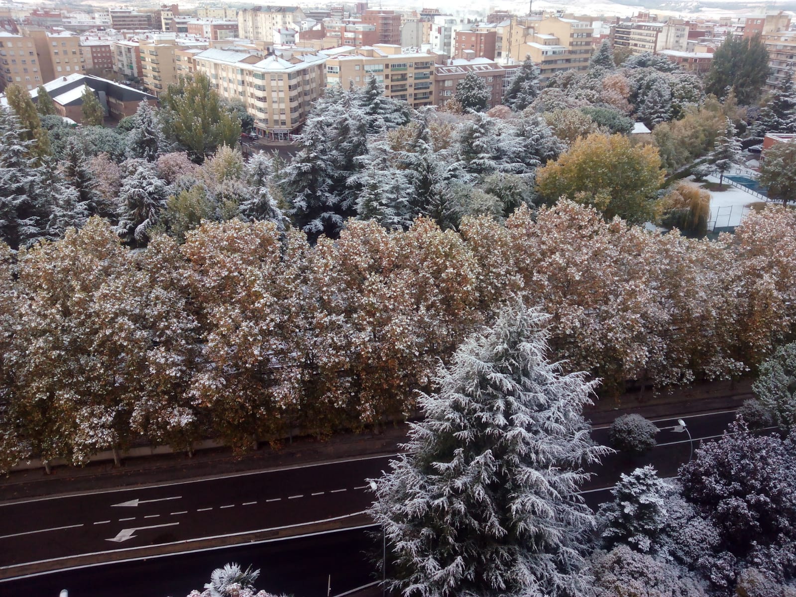 Fotos: Las imágenes que ha dejado la primera nevada otoñal en Palencia