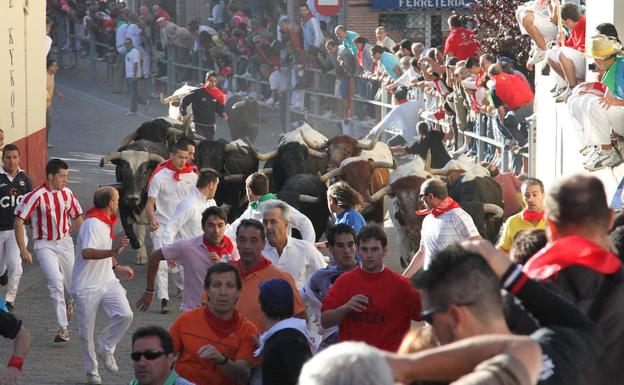 Los astados persiguen a los corredores, a su paso por la calle Resina, durante un encierro de Cuéllar.