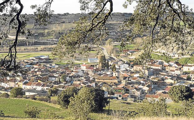 Cevico Navero desde la encina conocida como la Mata Redonda, a la que se le calculan unos 800 años de edad. 