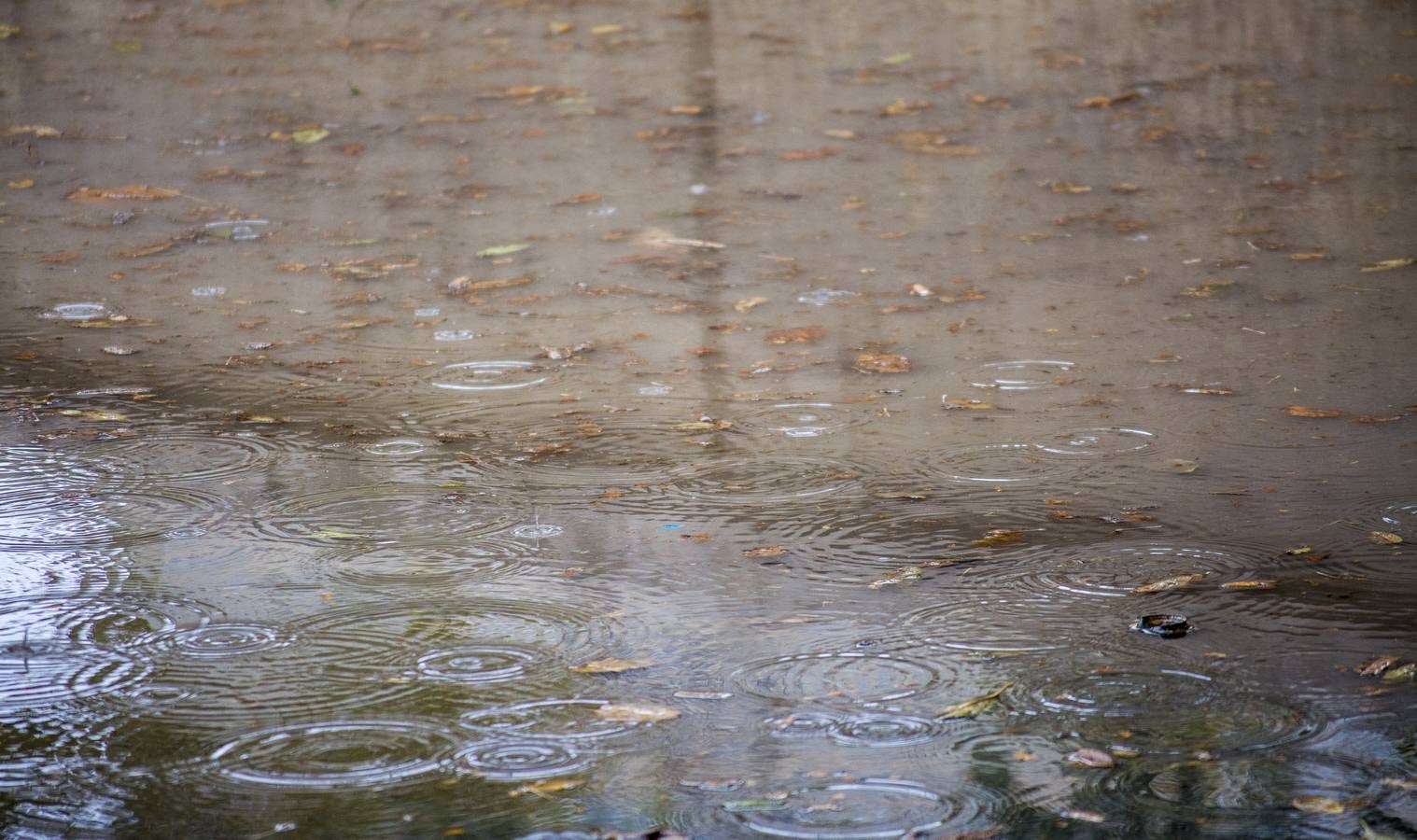 Fotos: El otoño viste a Valladolid