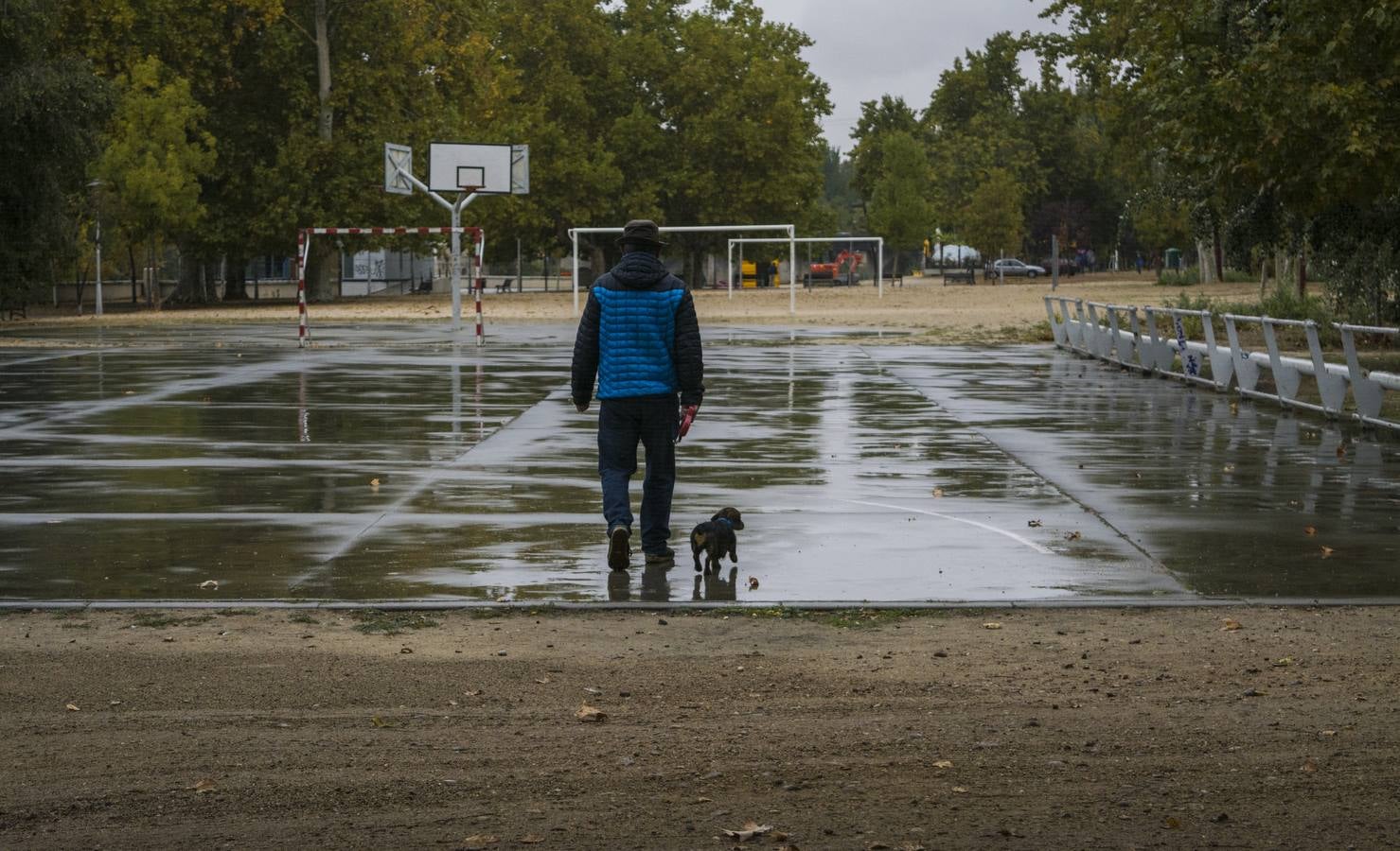 Fotos: El otoño viste a Valladolid