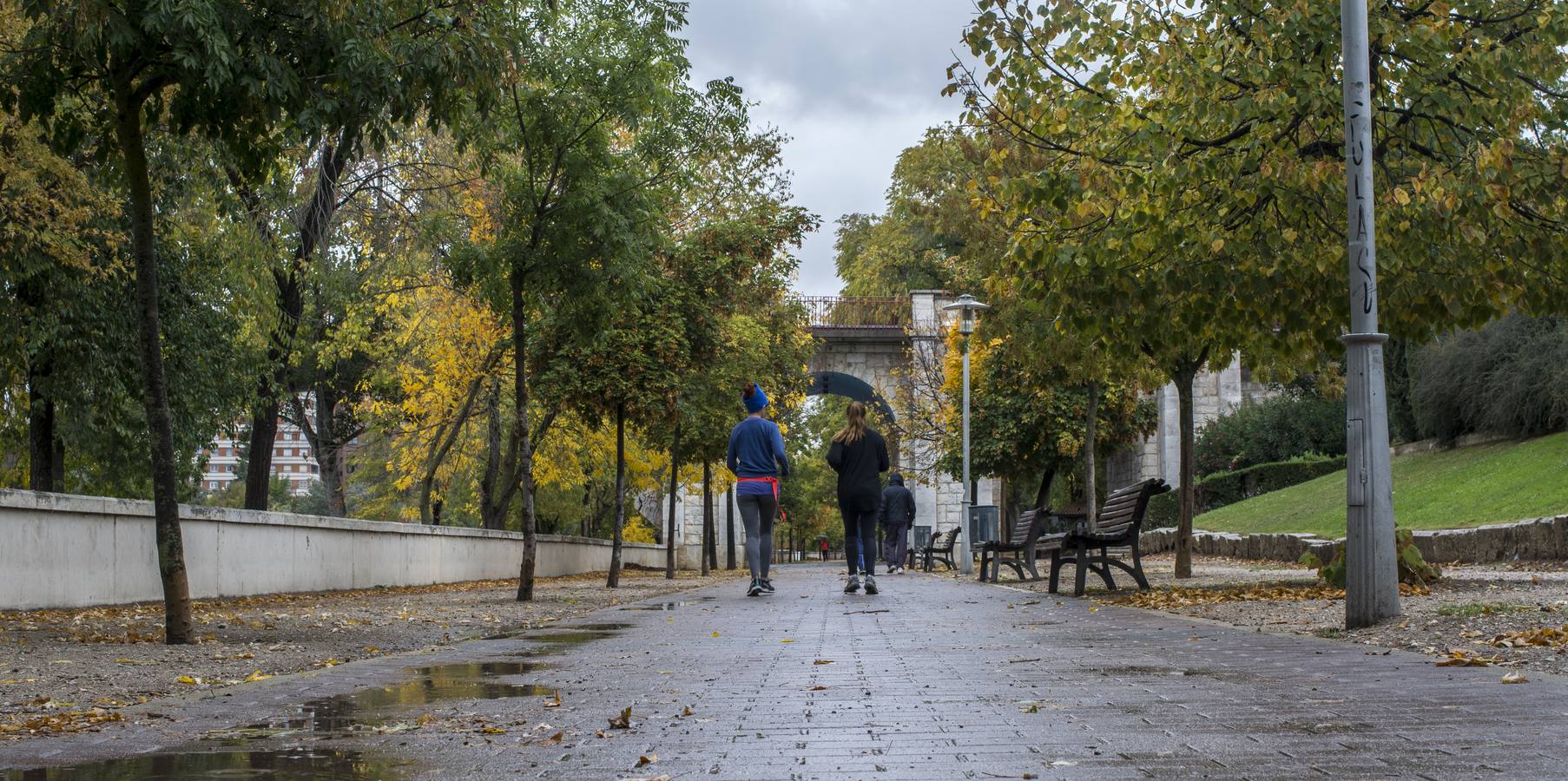 Fotos: El otoño viste a Valladolid